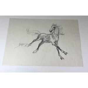 Hai Yun Art Horse Sketch Signed Original Frolicking Foal Colt Philly 12x18 Asian